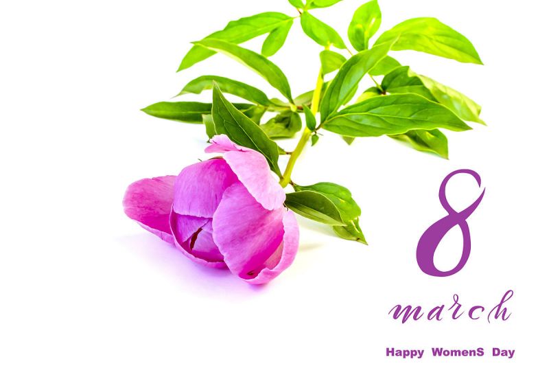 三八妇女节写文章:每个女性都应该有自己的故事 三八妇女节写文章:每个女性都应该有自己的故事