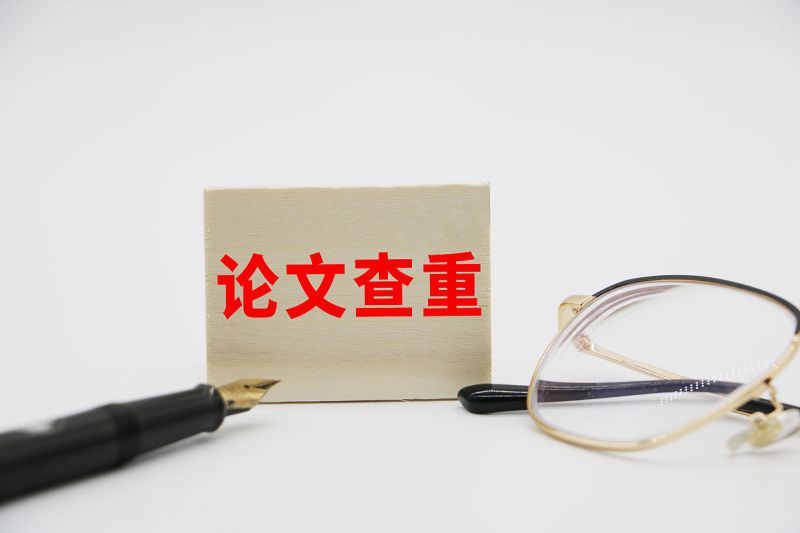 手写文章怎么查重：一份详细指南