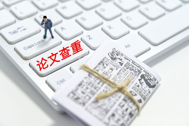 伪原创文章查重:提高内容创作者的原创性 伪原创文章查重:提高内容创作者的原创性