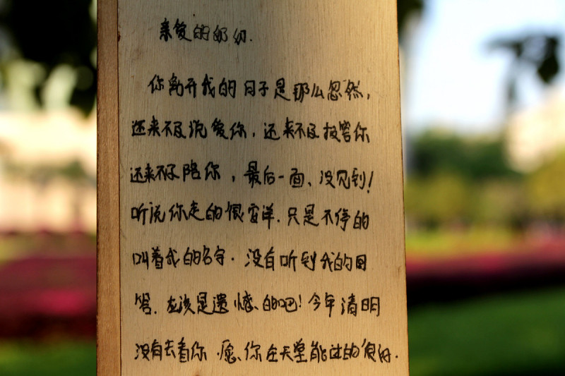 感谢写文章的人怎么说