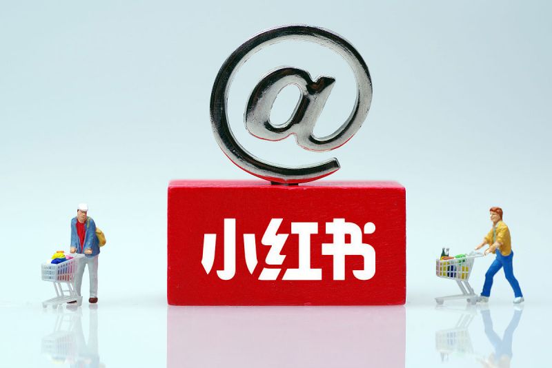 在小红书写文章能赚钱吗 - 了解小红书赚钱的新途径 在小红书写文章能赚钱吗 - 了解小红书赚钱的新途径