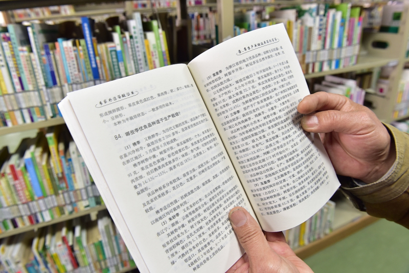 如何用欲扬先抑写文章:掌握高质量文章创作的秘诀 如何用欲扬先抑写文章:掌握高质量文章创作的秘诀