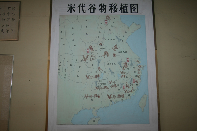 三国写文章的高手:从历史到现实的思考 三国写文章的高手:从历史到现实的思考