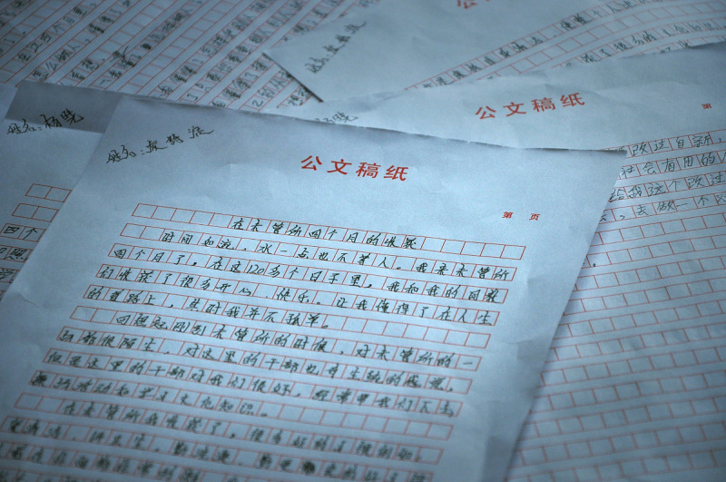 公务员要写文章吗：职责与要求探讨