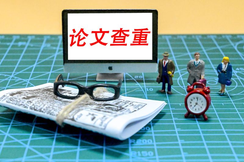 在Word中如何写文章:最完整的步骤指南 在Word中如何写文章:最完整的步骤指南