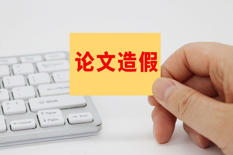 免费代写文章：高效、优质的写作服务